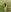 RussNocturnal Forest nudes 🍀🍀 Pic 2