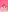 alai_smith_ Sweet Picnic 사진 7