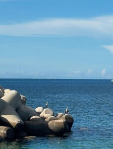 pizza_pa ぱぶ зображення