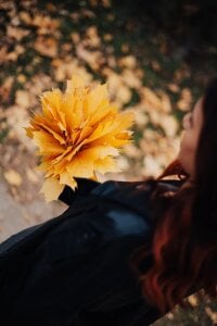 NickiKisingerForest soul Bild 2