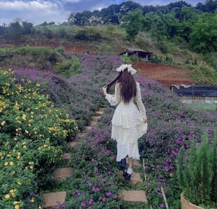 Nana_ChuPublic图片