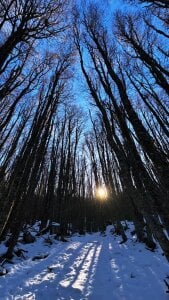 BabyChanntal Viajes 🧳 зображення 3