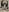 La_ProfX Vibe Photo 6