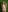 Samara_Hillss play now baby Pic 2