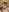 vanda26hot Black Dildo and Facial Pic 2