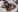 HellenLust more naughty of me XXX Bilde 5