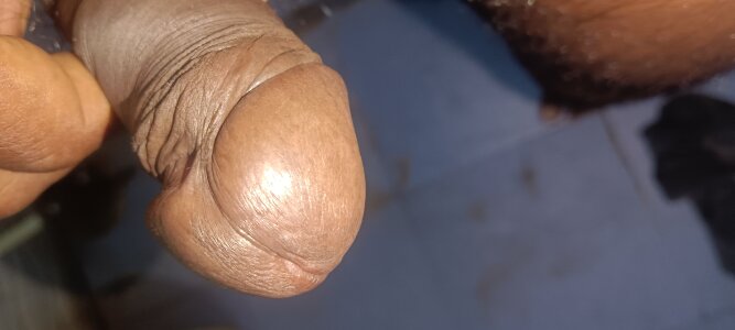 NobleWhiskers490 Nice Pic