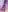 Michell_sr Ass🫣 Photo 2