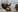 HellenLust more naughty of me XXX Bilde 3