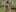 _Soo_dreamy_Wild Oily Muscles图片 9