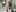 WhataGirlsx 2024 new pictures Pic 6