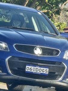 ... de aus411  photos