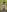IconaDidiFit Tease in Nature照片 9