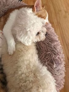 Gxhmelx-xiaoxiao 调皮捣蛋❤️ Pic 9