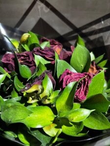 Raven06_ flowers for linda Pic 3