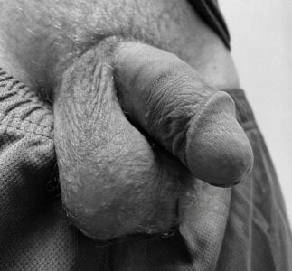 Zdjęcia nx202505 Public:  5