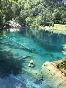 rogerdik76 Secrets Immagine 