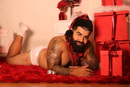 Lyon_vach Christmas leon Gambar 6