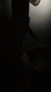 Zdjęcia RiceTuanK9 Public: 