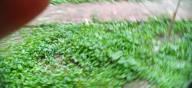 mdshovohossen kullanıcısının Love albümü -  2 fotoğraf