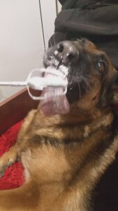 RitaRey My Jessica Pic