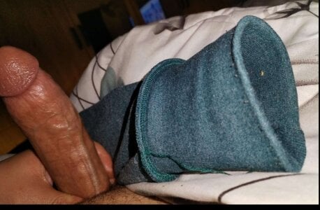 Zobr_bolbolPublic Bild 8