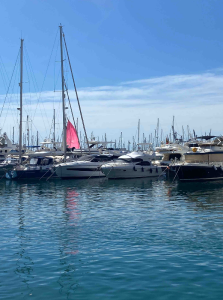 Zoe_King44 Walks 💦🌲 Kuva 3