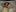 dirtyjessyBondage Titten照片 4
