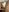 SensualG300 Spicy content Pic 5