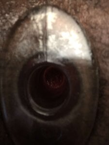 BigDickBiFreakのGapeの 2枚の写真