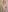 Uni_Chloe My first nude photos Pic 3
