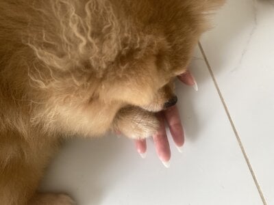 Chloe_embe Nịn lắm cơ Pic