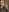 Mia_DixonsKiss you照片 7