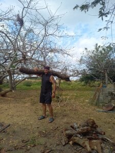 Daax_21 At the Farm ( en la granja) Pic 5