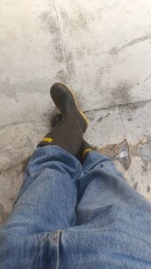 zeus67wrer Public Pic 3