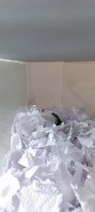 anaroman01 A house full of life and love ❤️ 圖片 2