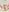 Sammykatt missionary possess Pic 5