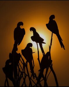 Kayser_hotboy COLOMBIA Pic 4