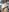 virtual_charm Strapon 🥵🥵 Pic 2