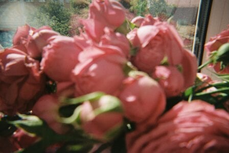 RedLipse just my life Pic 9