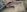 Cum_huntersnaked boy照片 2