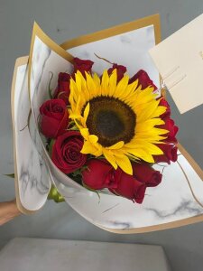 Xavier568780 H รูป 