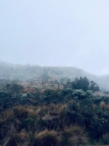 Nick_Archer ❄️ صورة واحدة|Nick_Archer ❄️ صورتان|Nick_Archer ❄️  5 صور|Nick_Archer ❄️  5 صورة