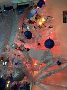 Shopia_Nadall Navidad 🎄 зображення 4