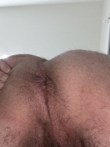 Kalisto2026Public图片 5