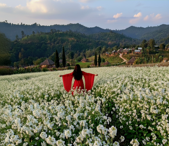 Adiba_2 Adiba's tour Foto 5