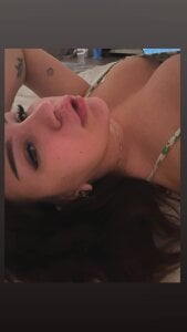 amazing_cat Public Bilde