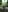 ananattaniaRailroad Tracks照片 4