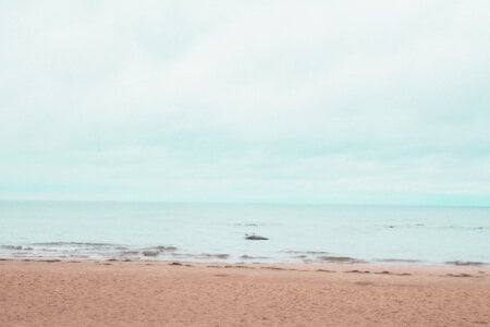 lunaalli •seaside• Fotka 2