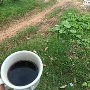 droale: Public ( 4 фото)